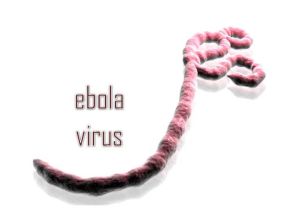 ebola-virus