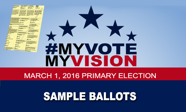 My Vote, My Vision 2016 Info