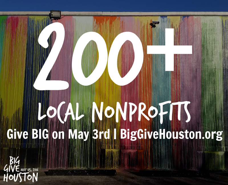 2016 Big Give Houston