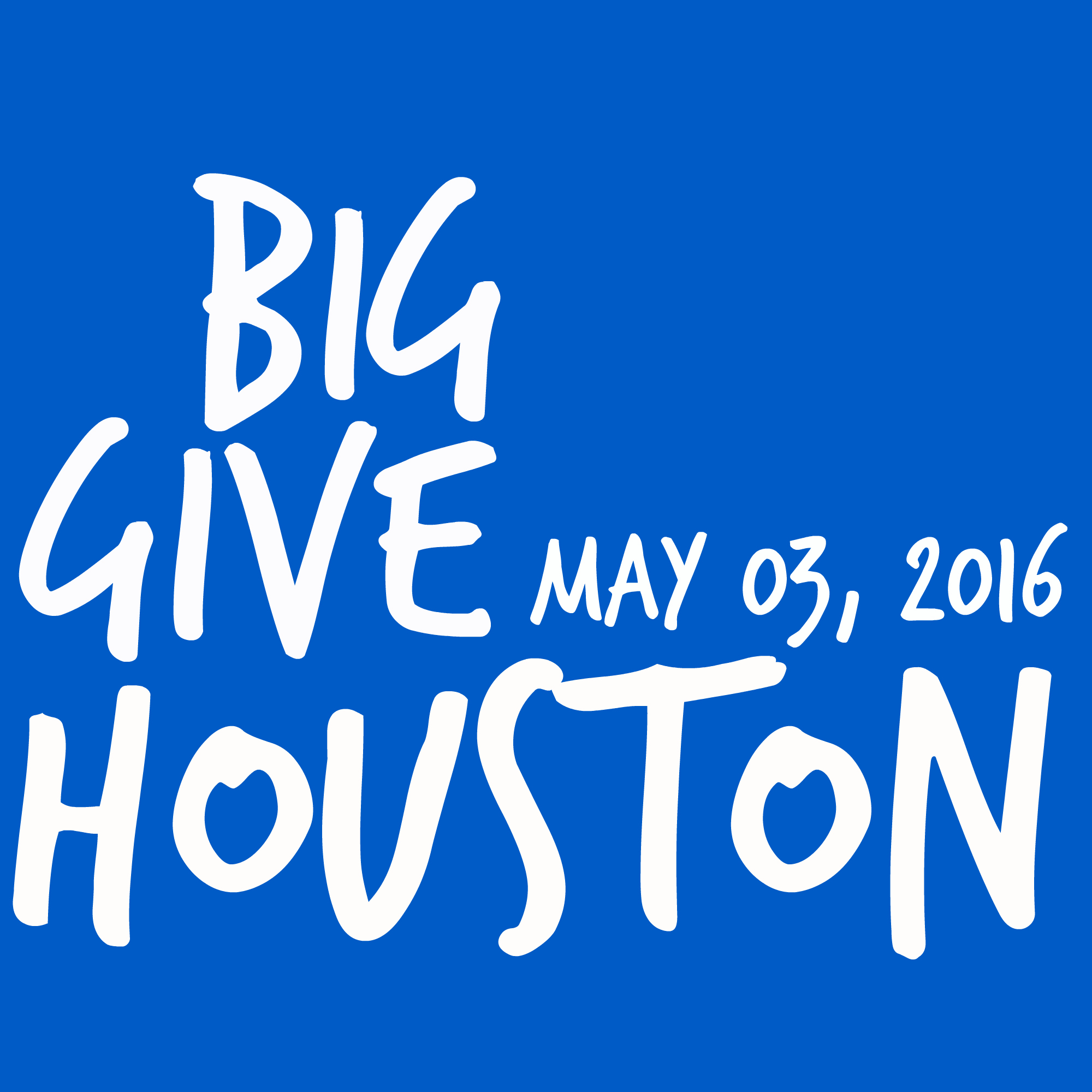 2016 Big Give Houston