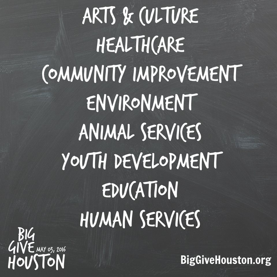 2016 Big Give Houston