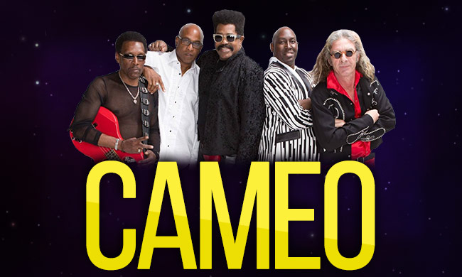 Majic Under the stars 2016 artists