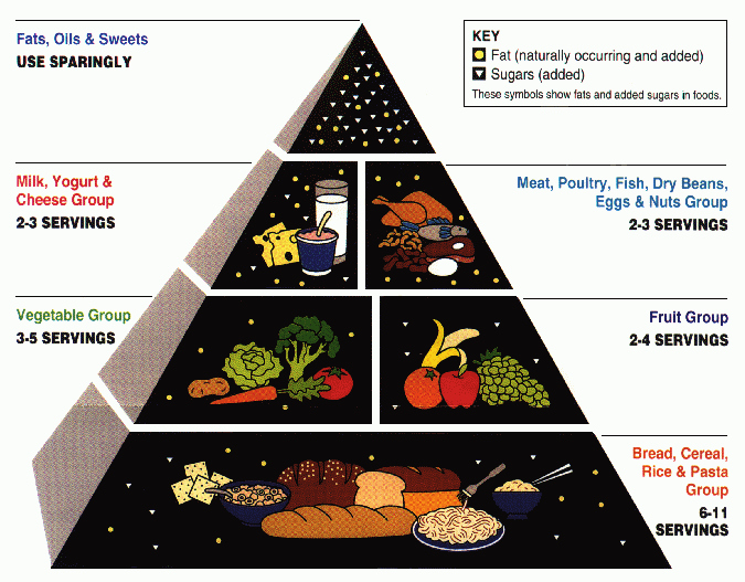United States Department of Agriculture's Food Guide Pyramid