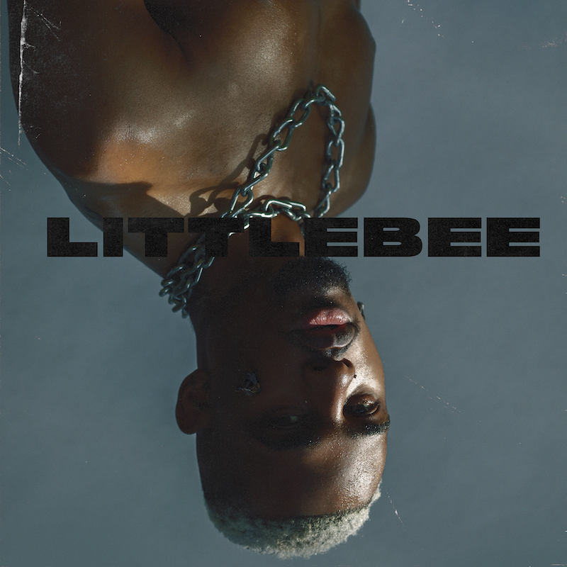 JonoJono Little Bee Cover