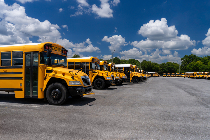 Many School Buses Lined up in a Parking Lot