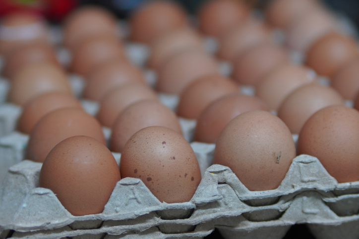 egg carton